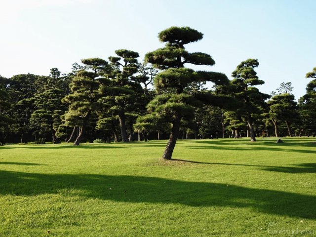 Egy álom valóra vált - Seba Japánban 49